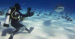 5 Day Underwater Photo Training from Oceans Below CO. LTD