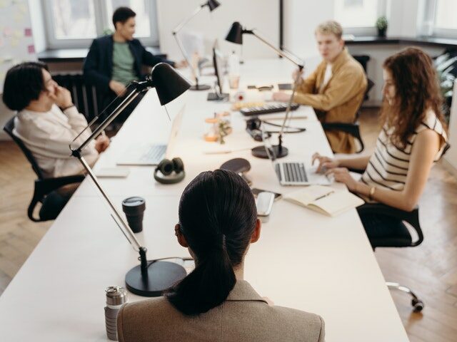 Project Management for IT Professionals (Software Project Management) from Business Coach
