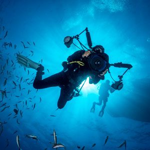Freediving Photography course from Oceans Below