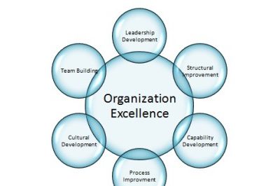 Effective Organization Development
