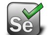 Selenium for Victims of Manual Testing Training Course