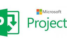 Microsoft Project 2013/2016