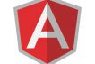 Testing Angular Applications Training Course