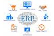 SAP ERP Fundamentals Training Course