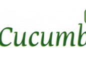 Cucumber Electron: Implementing BDD without Selenium Training Course